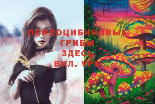первитин Алексеевка