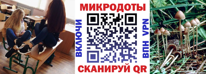 блэк спрут ссылки  Сольвычегодск  Галлюциногенные грибы мухоморы 